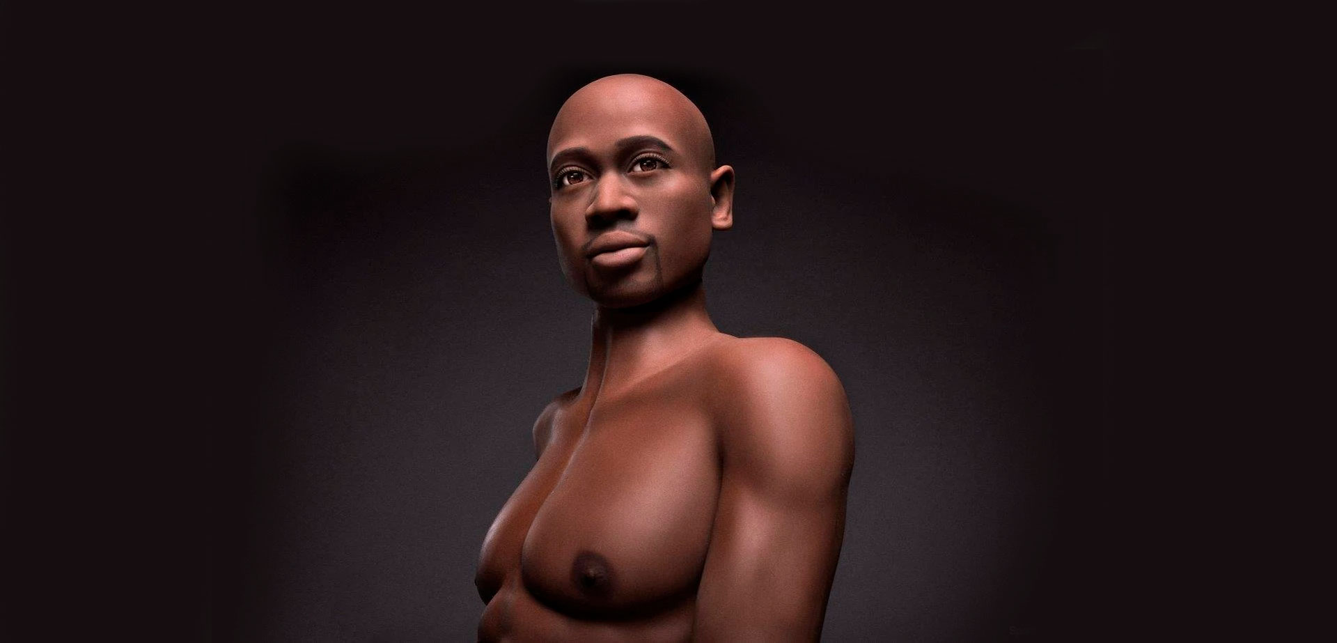 Black Male Sex Doll James